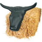 Large Steer Head with Horns 