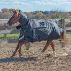 Canadian Horsewear MAYAN Full body Diablo Turnout 300 gm - Free Tail cord