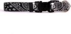 Yellow Dog Designs Black Bandana Standard Collar