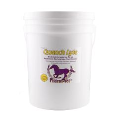 Quench Lyte 15kg Raspberry Flavour