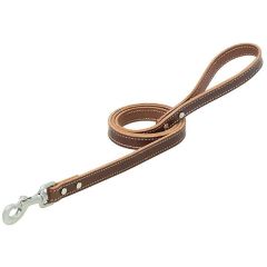 Bridle Leather Dog Leash 6'