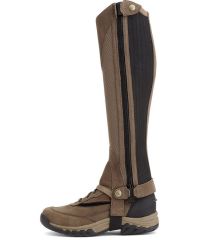Ariat Terrain II Half Chap