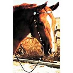 Pony Poco bridle and reins