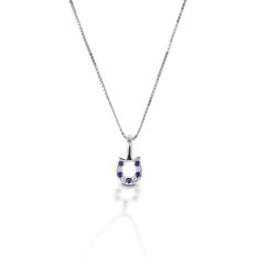 Kelly Herd Blue & Clear Horseshoe Necklace