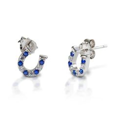 Kelly Herd Blue & Clear Horseshoe Earrings