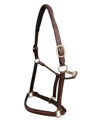 Draft Raised and Padded Halter - fancy stitched
