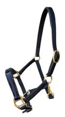Sage Family Patent Leather Mini or Foal Halter