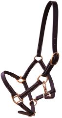 Sage Family Leather Mini or Foal Halter with Brass Hardware