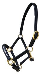 Sage Family Clear Crystal Mini or Foal Halter