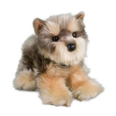 Douglas Yettie Yorkie
