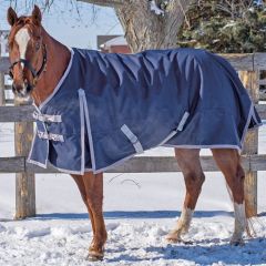 Canadian Horsewear Turnout 300 gm with hood attachments. 69", 72", 75", 78", 81"