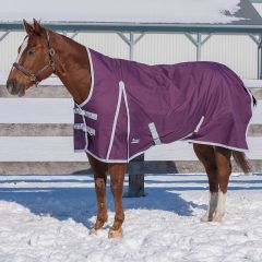 Canadian Horsewear Plum Rainsheet