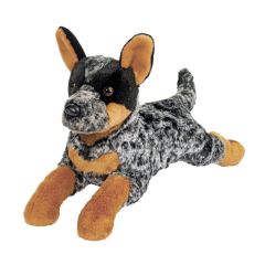 Douglas - Ridge Cattle Dog