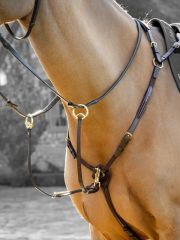 LeMieux Breastplate (D-Ring Attachment) Havana/Brass