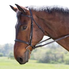 Fancy Raised Bridle by Camelot