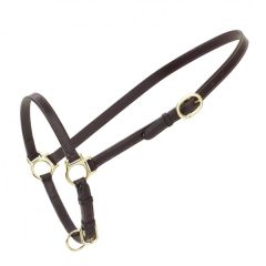 Ovation® Leather Traditional Grooming Halter