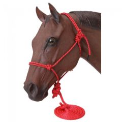 Ger-Ryan Poly Rope Tied Halter with Lead