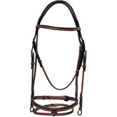 Sage Family Two Toned Bridle with Flash 