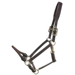 Leather Halter with Rope Nose 