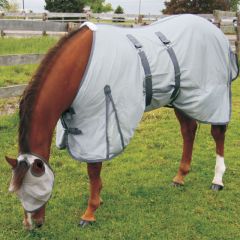 Canadian Horsewear Orien 2 Fly Sheet Mini to Warmblood sizing