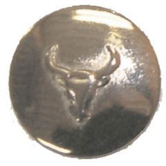 Engraved Bull Head Concho