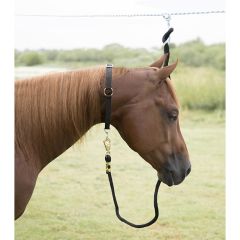 Mustang Horse Collar 