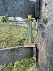 Table Top Cactus Decor-Yellow Flowers