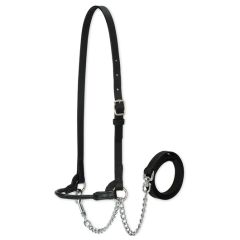 Weaver Single Buckle Dairy Show Halter-Extra Small