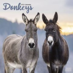 Donkey Wall Calendar 2023