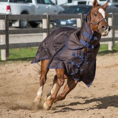 Canadian Horsewear Chocolate Diablo Turnout 300gm 81" only