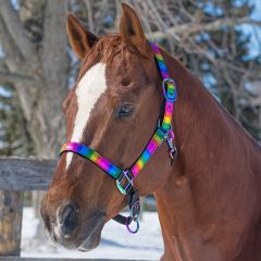 Nylon Metallic Rainbow Halter - Cob
