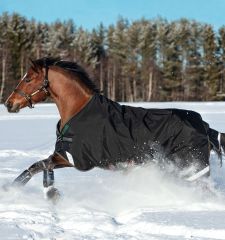 Rambo Original 200g Blanket bundle.  Incl. Amigo Hood and 100 gm liner