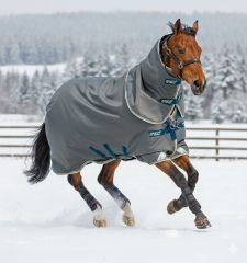 Amigo 1200 D Turnout with Hood 250g - Liner compatible 69", 72"