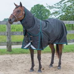 Canadian Horsewear Calypso Diablo 160gm - Liner Compatible - Arrives October 15th, 2025