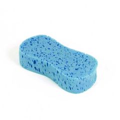 Sponge - Pink or Blue