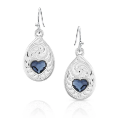 Montana Silversmith Montana Big Sky Artistry Earrings