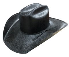 Logan Black Straw Hat