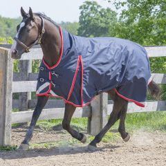 Canadian Horsewear Monarch Turnout 300gm