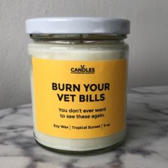 Candles For Burned-Out Equestrians-Burn Your Vet Bills