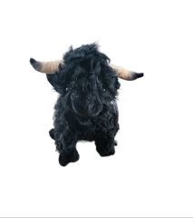 Shack Story Highland Cow Plush - Black