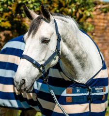 Horseware® Newmarket Halter & Leadrope - Witney Navy