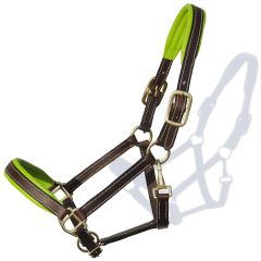Sage Family Equestrian Halter - Shop online in Canada for English and Western Tack