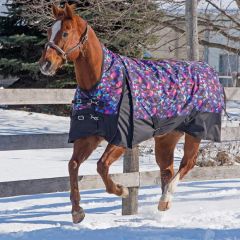Canadian Horsewear Dreamcoat Coolmax Liner Rainsheet 