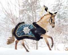 Breyer Highlander 2023 Holiday Horse