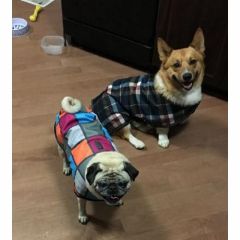 Fleece Lined Dog Blanket - Large Dog - Assorted Colours