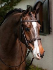 LeMieux Stiched Hunter Pro Bridle