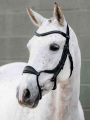 LeMieux Arika Adjustable Anatomic Noseband Bridle