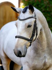 LeMieux Arika Cavesson Bridle Brown/Silver