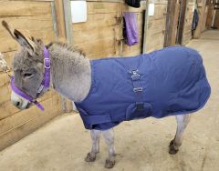 Mini and Foal Winter Blanket by Canadian Horsewear 