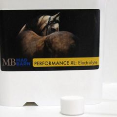  Mad Barn Performance XL: Electrolytes -5kg